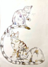 GATTI ACQUARELLO FIRMA DA