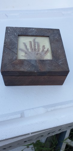 Scatola vintage in legno - ,