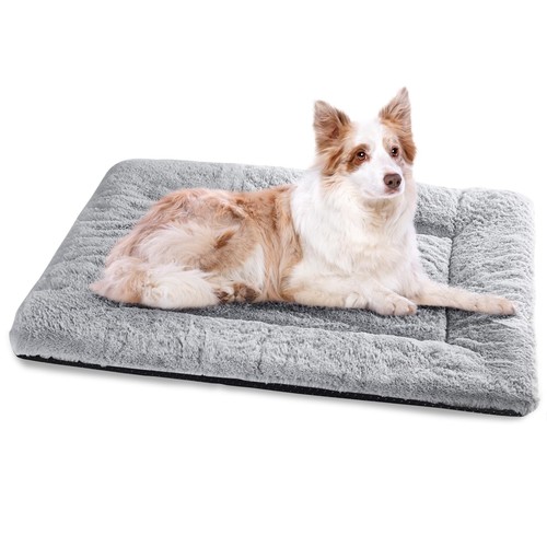 Cuccia cane interno - cuccia,