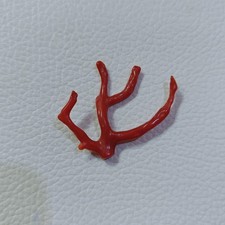 VENDITA Ramo di corallo