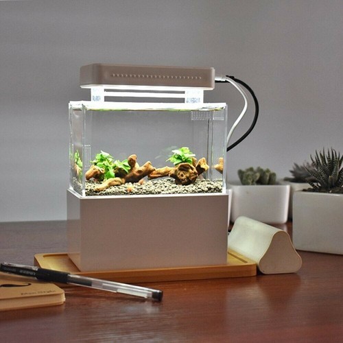 Mini serbatoio pesci acquario - mini,