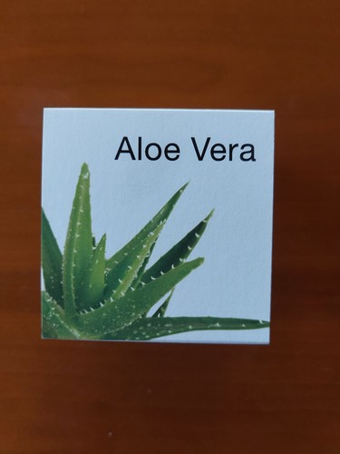 Idea regalo ocanera - idea, l'ocanera