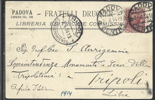 1914 padova libreria cartolina - libreria,
