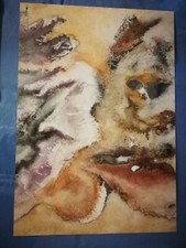 splendido acquarello  firmato