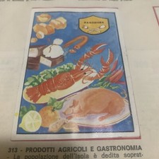 FIGURINA N.313 ITALIA  PATRIA