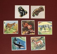 Lotto di 7 figurine Animali