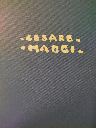 Giuseppe luigi marini cesare - marini,