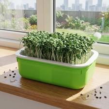 2 Pezzi Vassoio Germinazione
