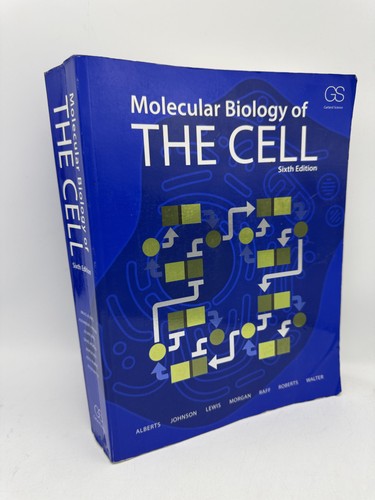 Molecular biology the - biology,