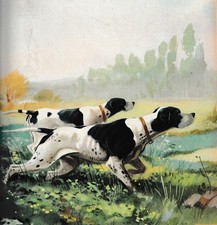 1954 ROBERTO LEMMI CACCIA VENATORIA CANI POINTER DA FERMA  MONOTIPO STAMPA