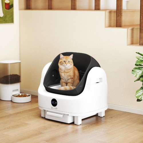 Lettiera per gatti - gatti, autopulente