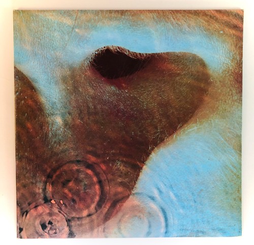 Pink floyd meddle vinile - -,