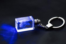 Barsoi, Levriero Russo