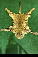 Alfombra piel Leopardo (