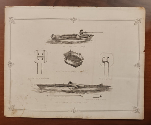 The poole canoe - canoe, cannone