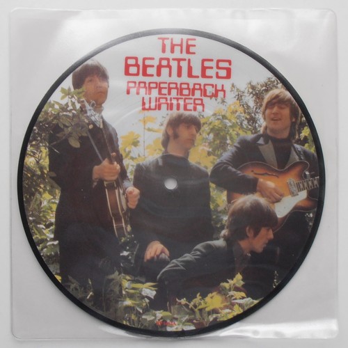 The beatles picture disc - the,