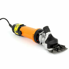 Tagliabordi Tagliabordi