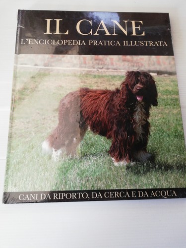 Cani riporto caccia cane - caccia,