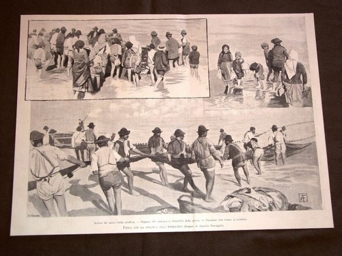 Pesca sciabica adriatico nel - pesca,