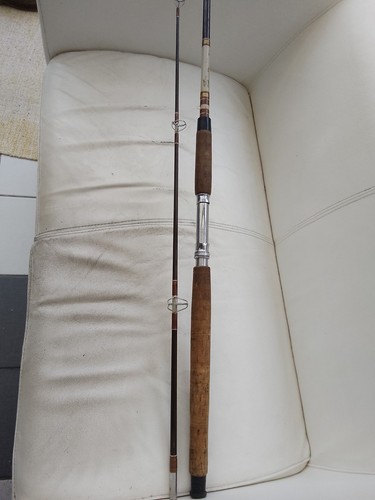 Canna pesca carpa daiwa - da,
