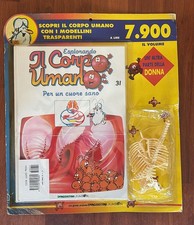 ESPLORANDO IL CORPO UMANO-FASCICOLO EDICOLA N.31-LIBRO+PARTE CORPO-DE AGOSTINI