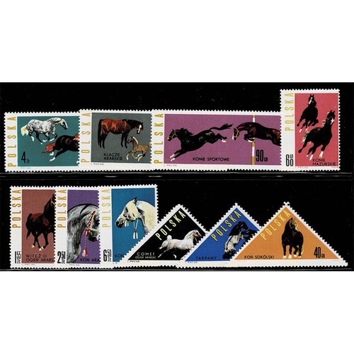 Fr5180 1967 polonia cavalli - -,