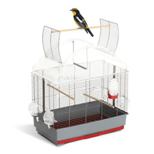 GABBIA PER COCORITE -