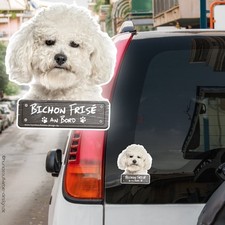 Adesivo auto Bichon Frise a