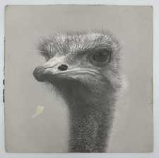 DARZE Dole & Kom Disco Vinyl Acker Records Electronic House Tech House Original