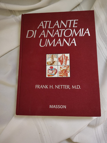 Atlante anatomia umana - di,