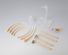 ONE PIECE Romance Dawn Luffy