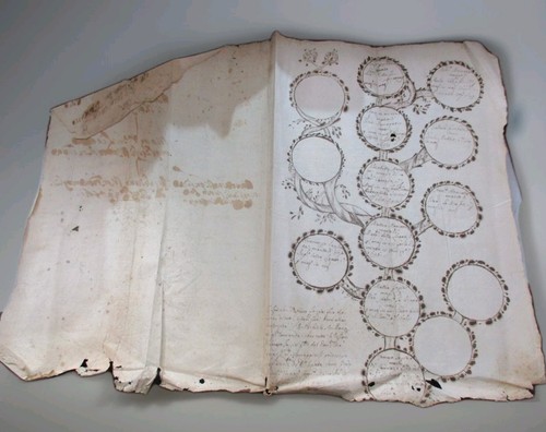 Rare antico manoscritto albero - rare,