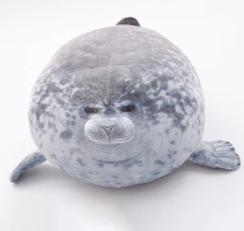 Carino cuscino sigillo - , 12