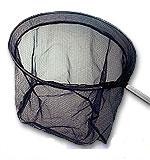 Testa Guadino Tonda cm 45