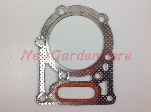 Guarnizione testata acme - testata,