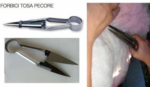 Forbici per pecore tosare - forbici,