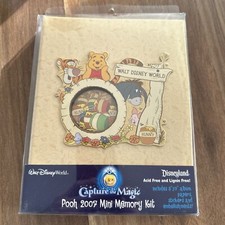 Winnie The Pooh Capture The