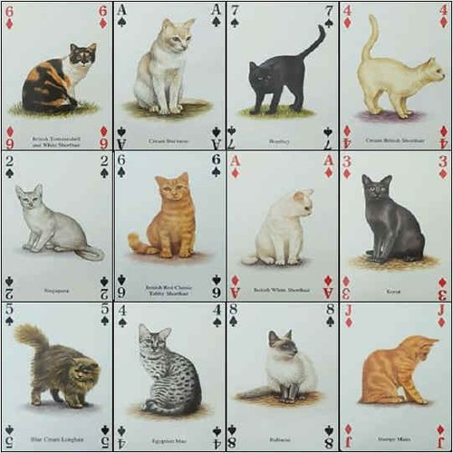 Fridge magnet playing - fridge,