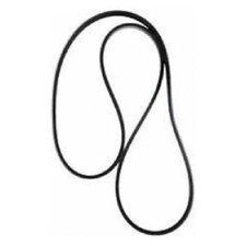 Cinghia vsx 559 j8 per