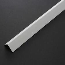 PROFILO ANGOLARE PARASPIGOLO