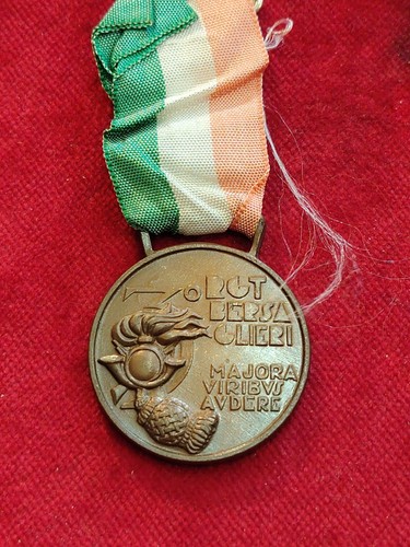 Medaglia raduno battaglione - raduno, 3'