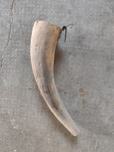 Antico portacote corno con - portacote,