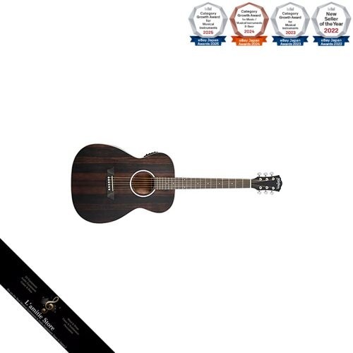 Washburn deep forest ebony - ebony, fe