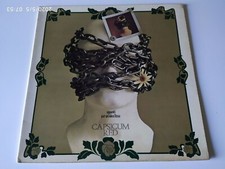 CAPSICUM RED ( Red Canzian )