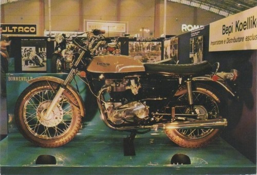 Triumph bonneville 650 - triumph,