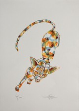 Scheib, Chihuahua. 2008