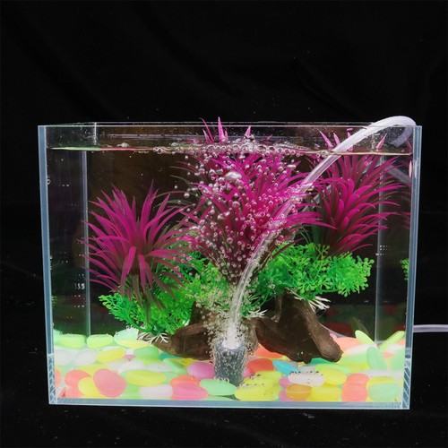 Piante per acquario - verdi, del