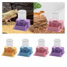 Mangiatoia per Rettili