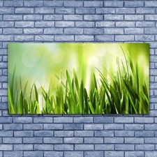 Acrylic print Wall art 140x70