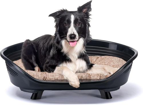 Cuccia cane gatto con - cane,